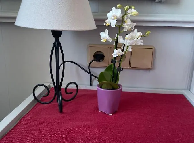 Bayerischer Hof Hotel